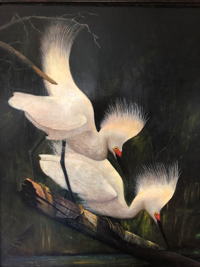 Bayou Egrets